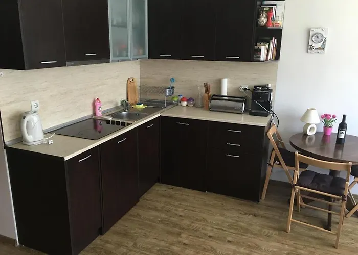 Sunny Plaza 100 M Sea * Sluneční pobřeží