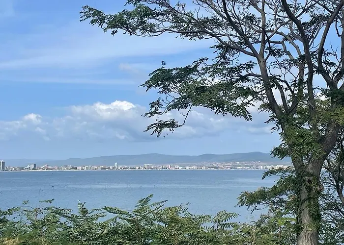 Sunny Plaza 100 M Sea Sluneční pobřeží