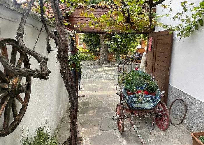 Sunny Plaza 100 M Sea *