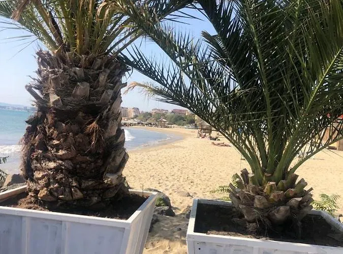 Апартаменты Sunny Plaza 100 M Sea Солнечный берег