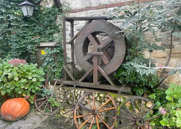 Апартаменты Sunny Plaza 100 M Sea Солнечный берег